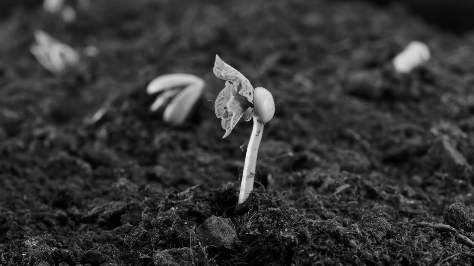 Business Performance video background